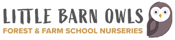 little barn owls logo